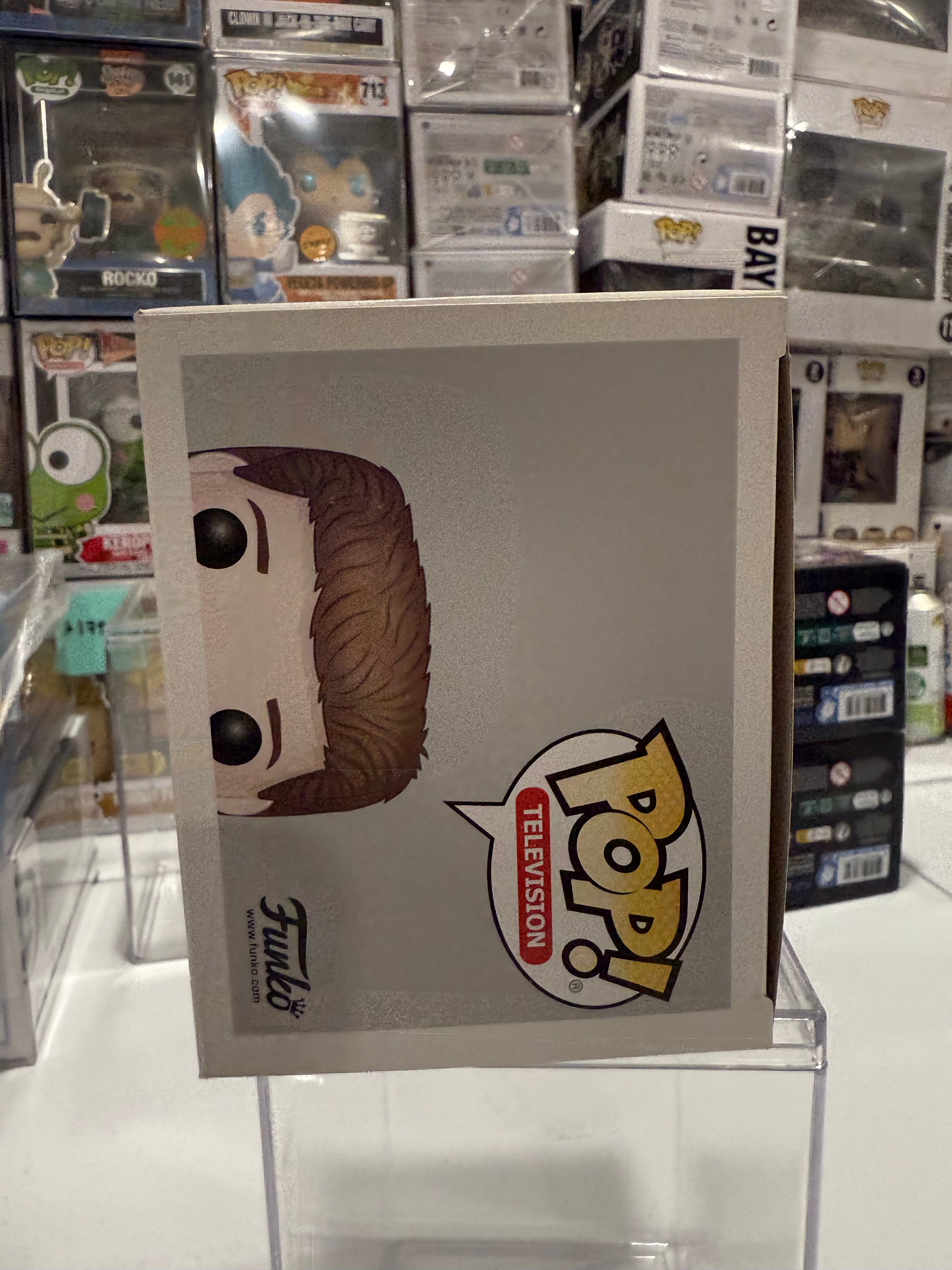 Bud Bundy (691) - Funko Pop Figure by POPnBeats