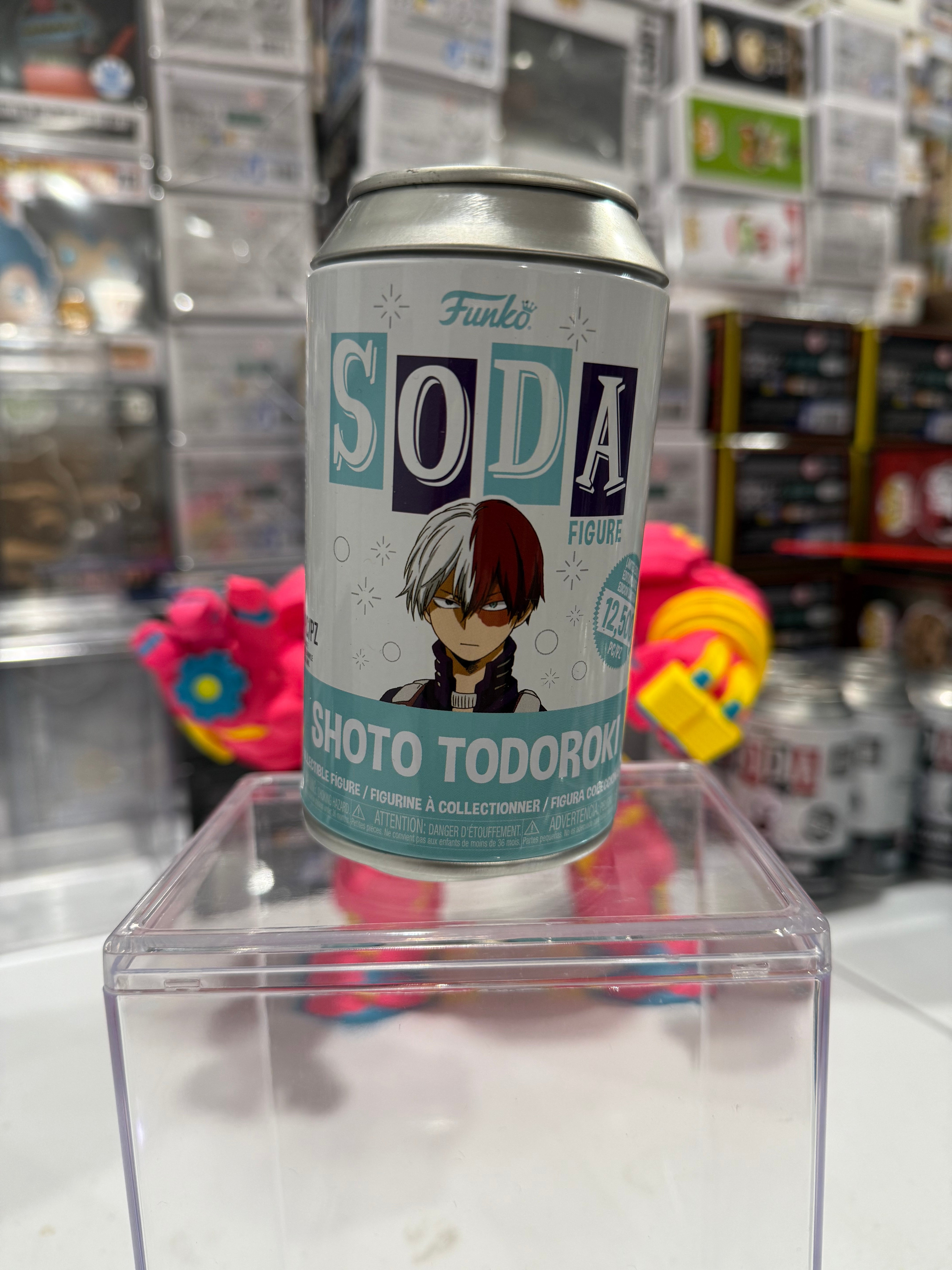 Shoto Todoroki (Common)