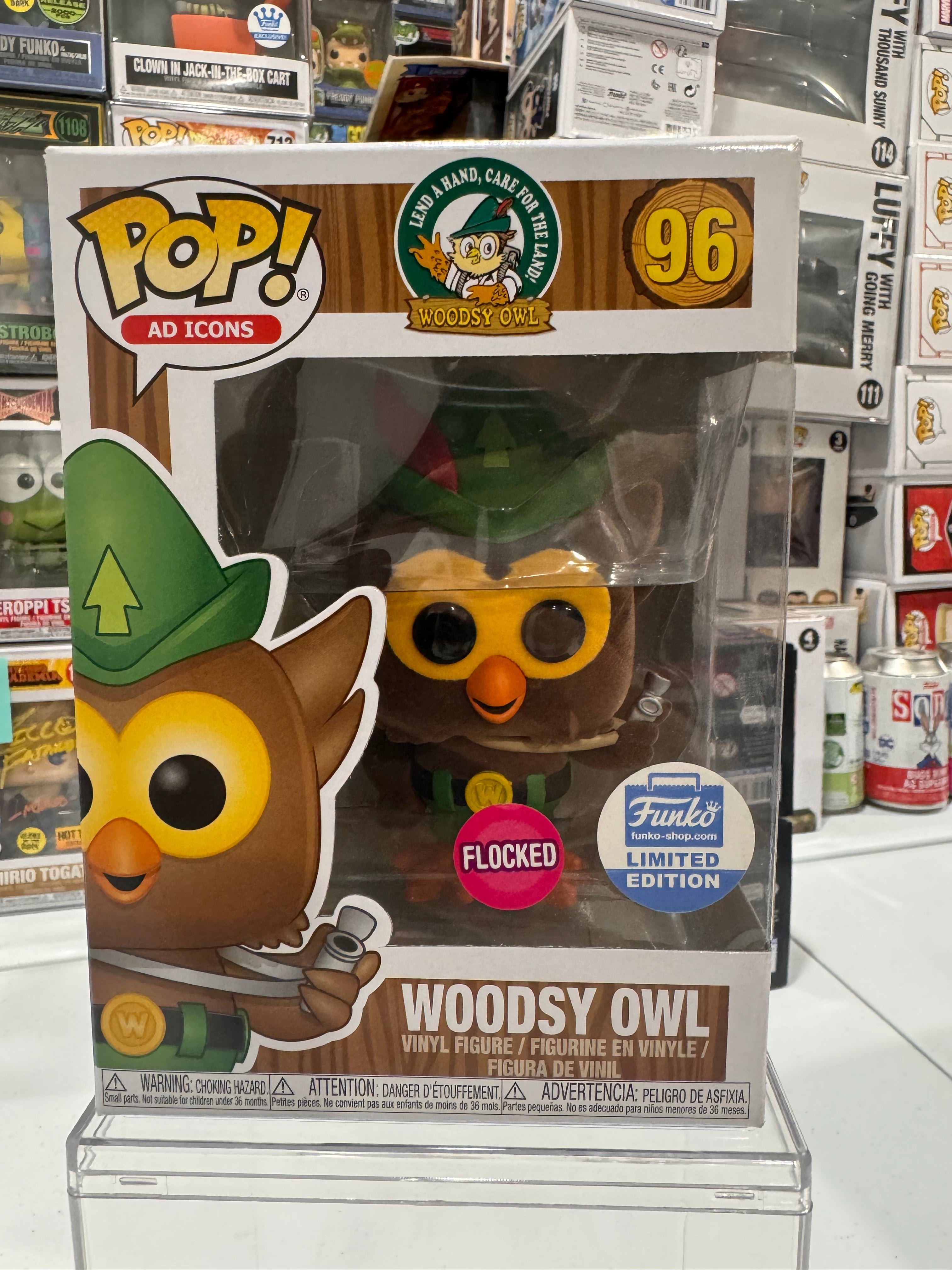 Woodsy Owl (Flocked)