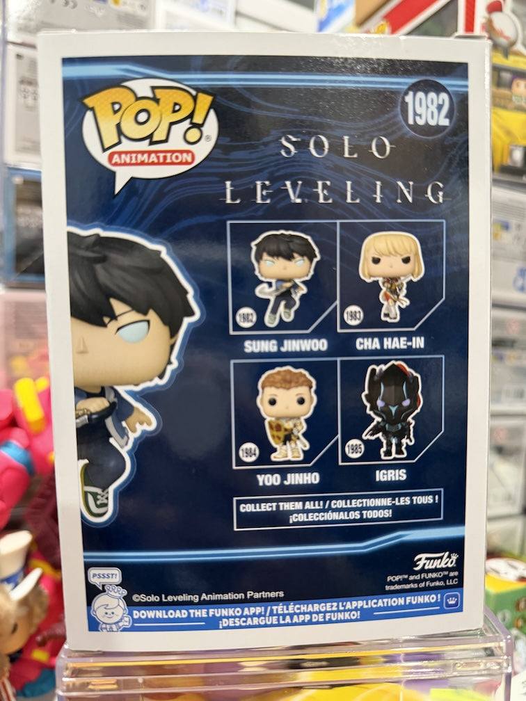 Solo Leveling Sung Jinwoo